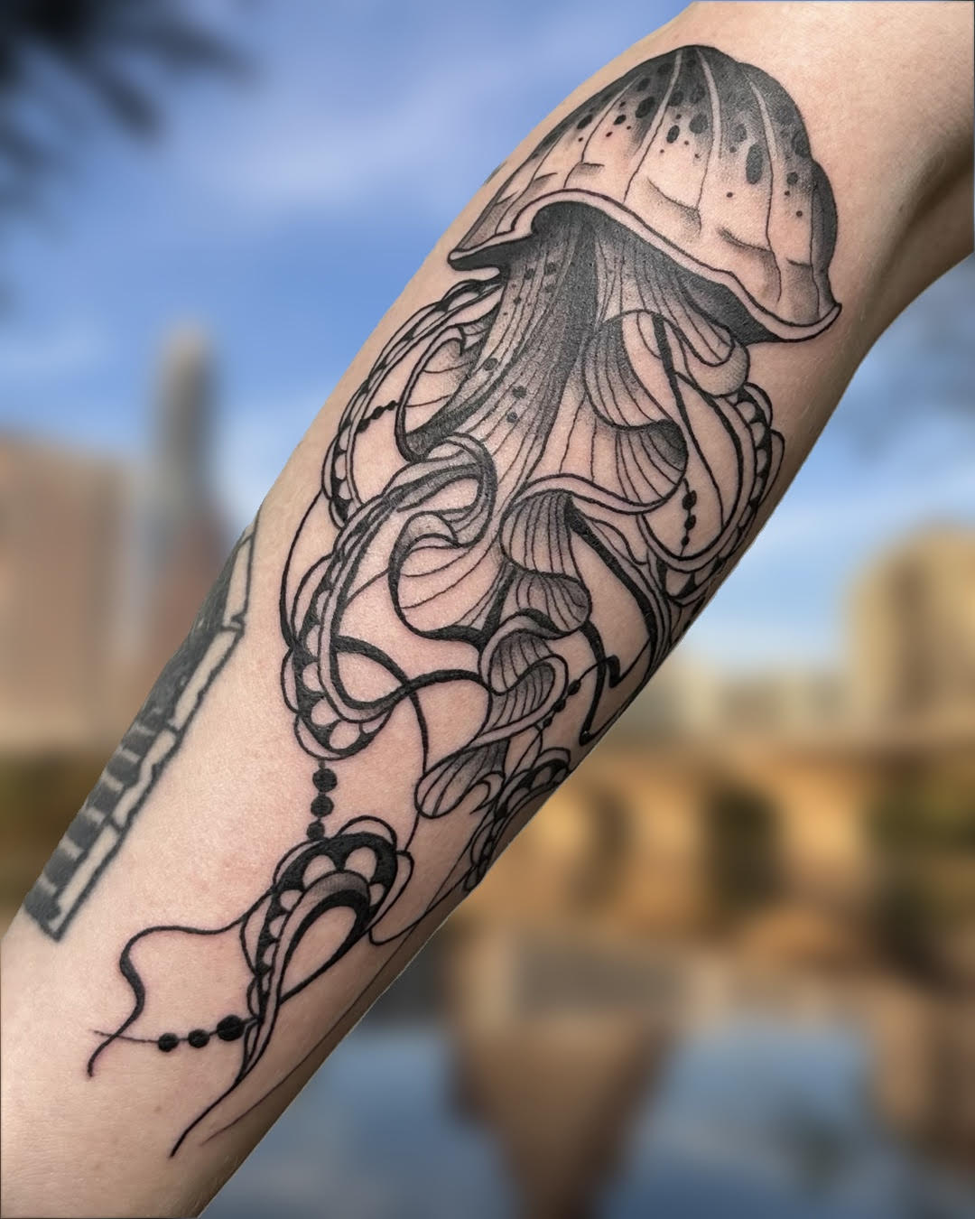 Black and grey jellyfish with fine detailed linework tattoo